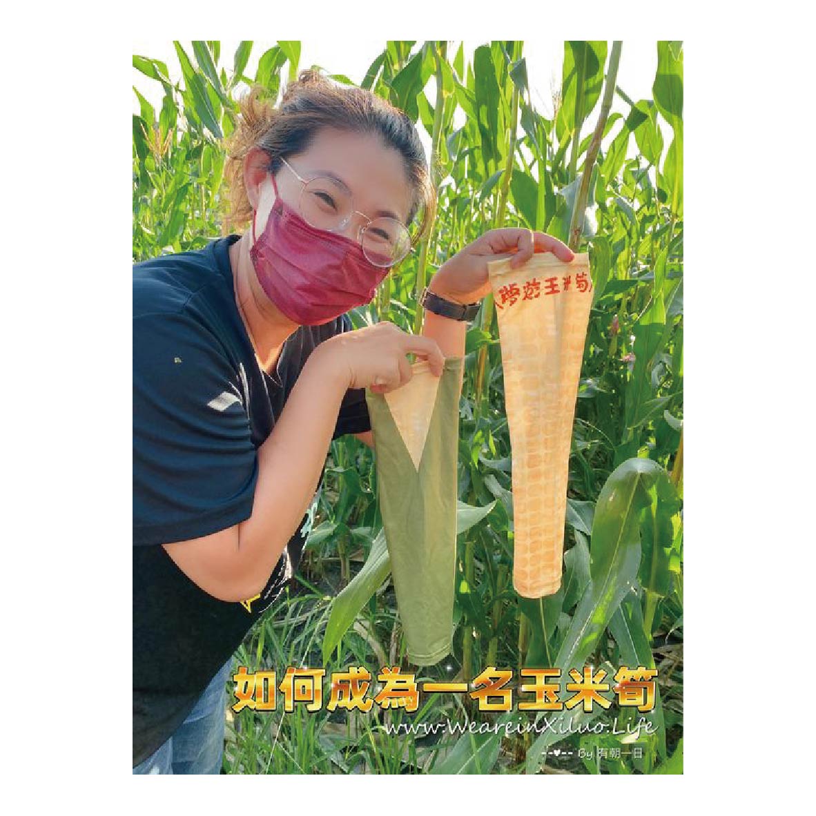 小農的白日夢計劃 - 夢遊．玉米筍袖套